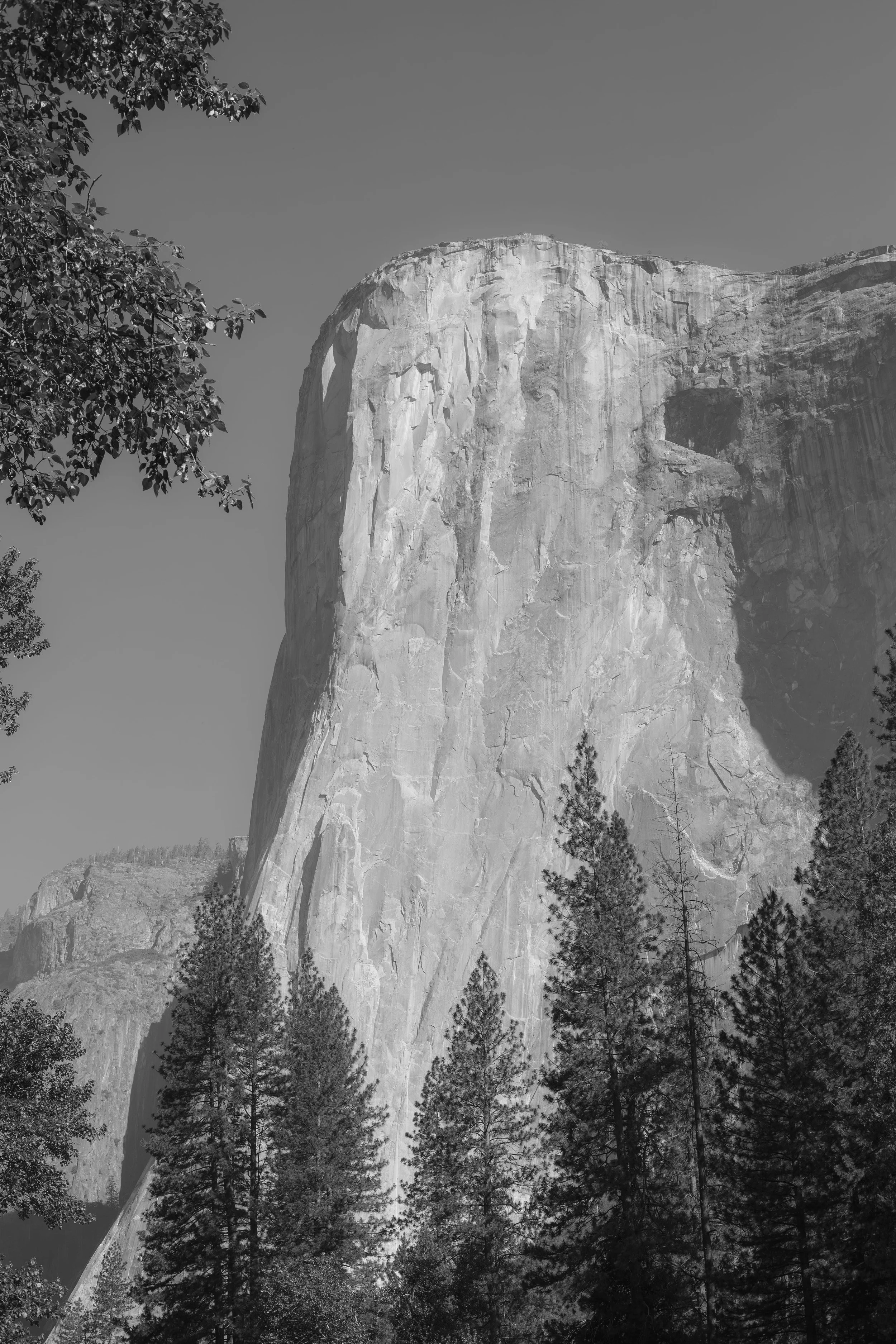 landscape_3.jpg