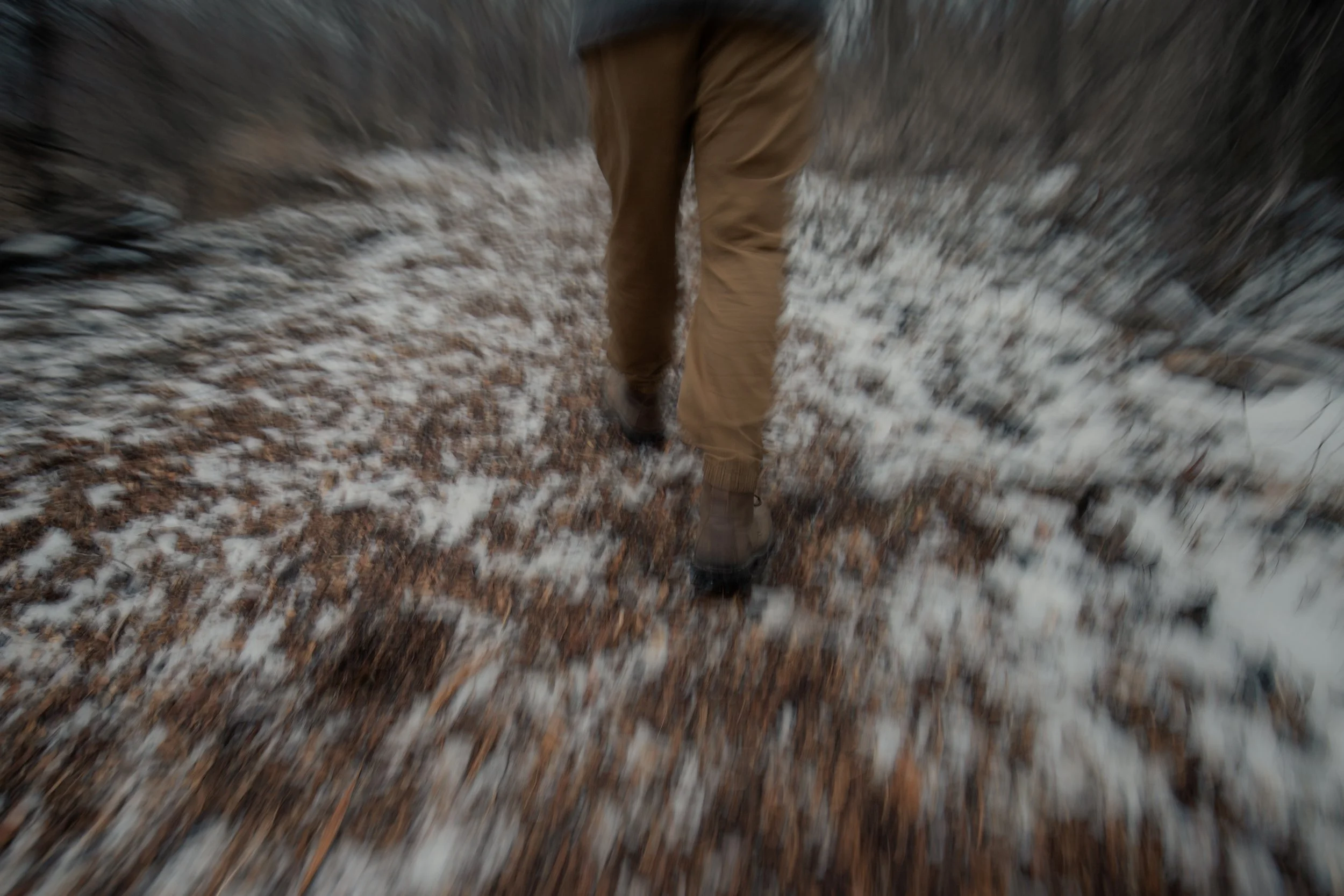 240124_rassmussson woods - warm tone_Lilly A_18.jpg