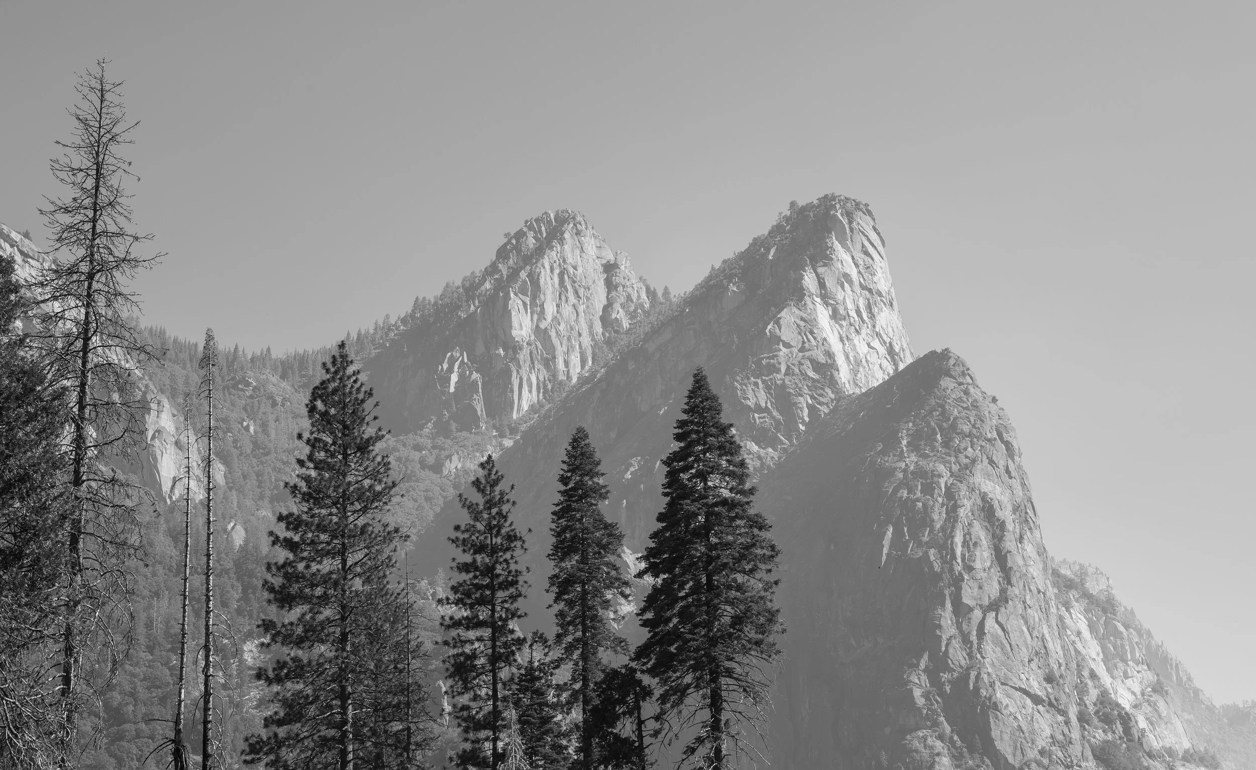 landscape_1.jpg