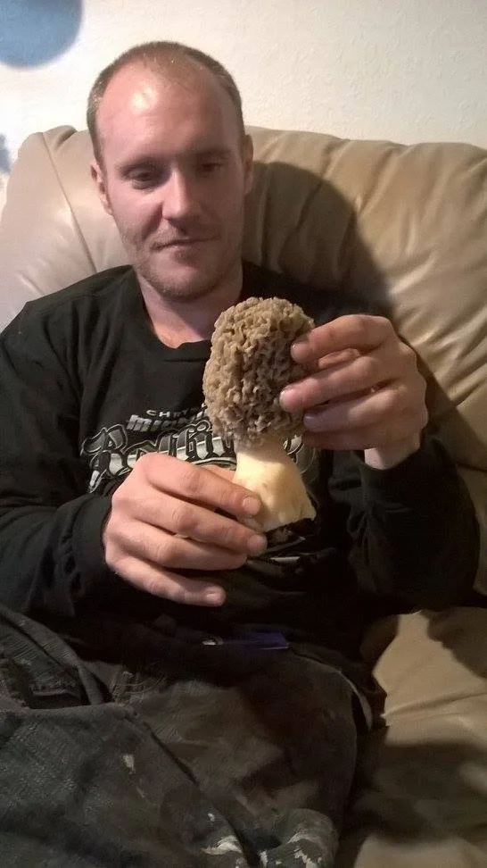Haags.jpg