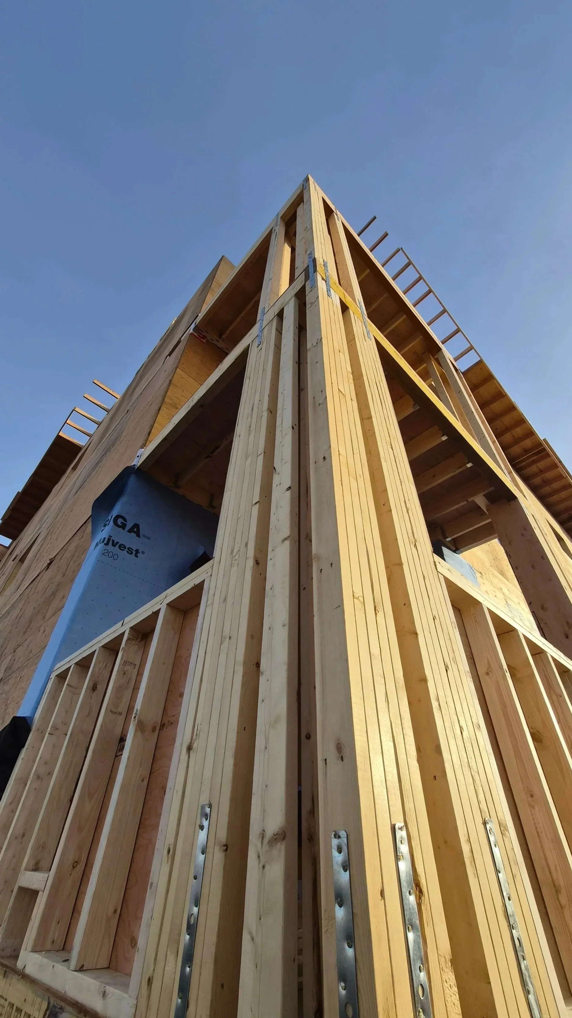 Upward view of wood framing on a residential construction project with exposed studs, joists, and sheathing against a clear blue sky.