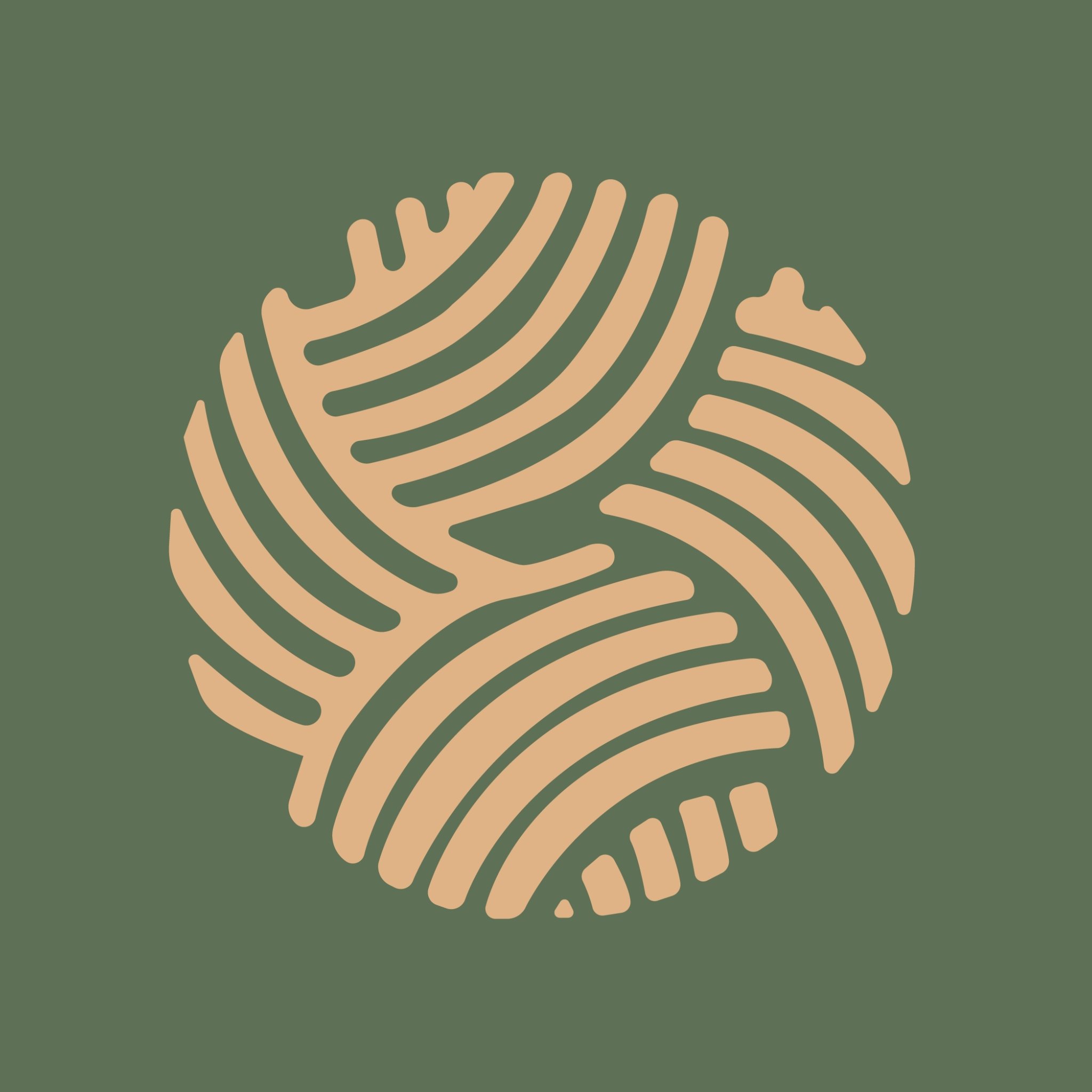 Untitled design.jpg