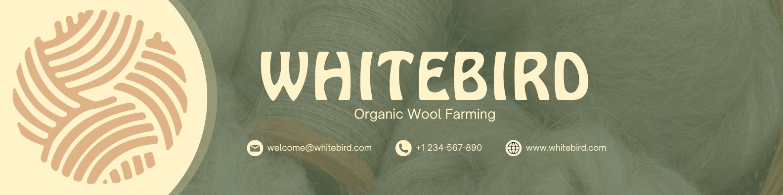 web banner.jpg