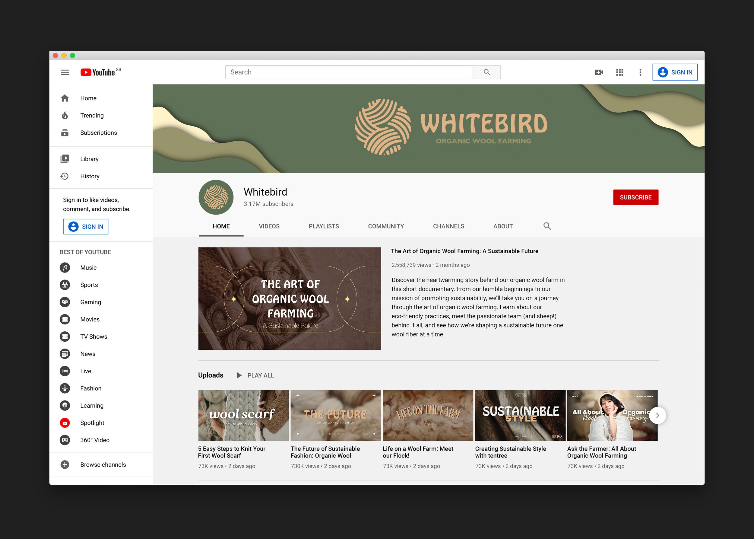 youtube mockup.jpg