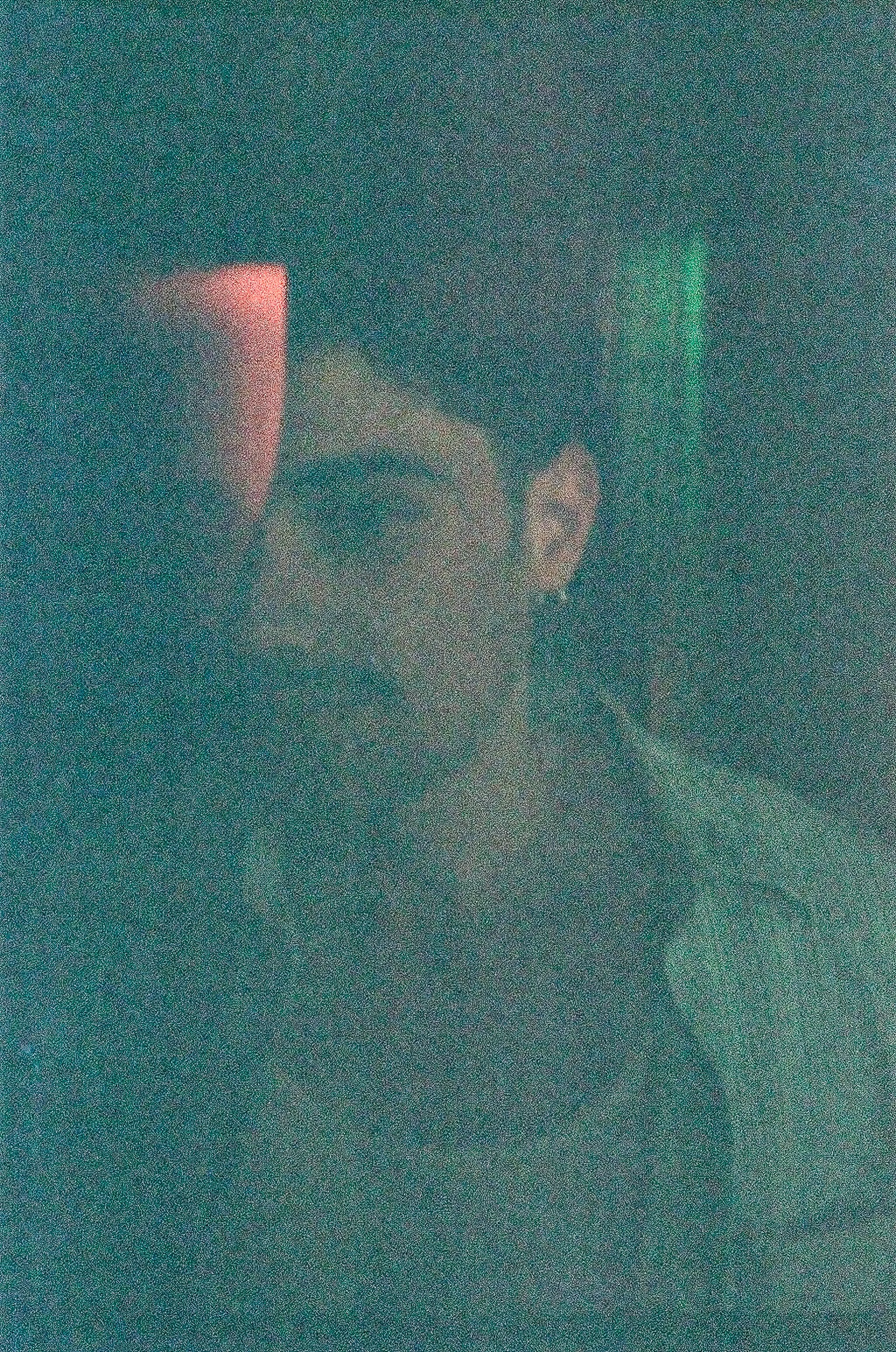 A very dark and grainy photo of a person in a almost pitch-black setting, with some green and red lighting, making details difficult to see.