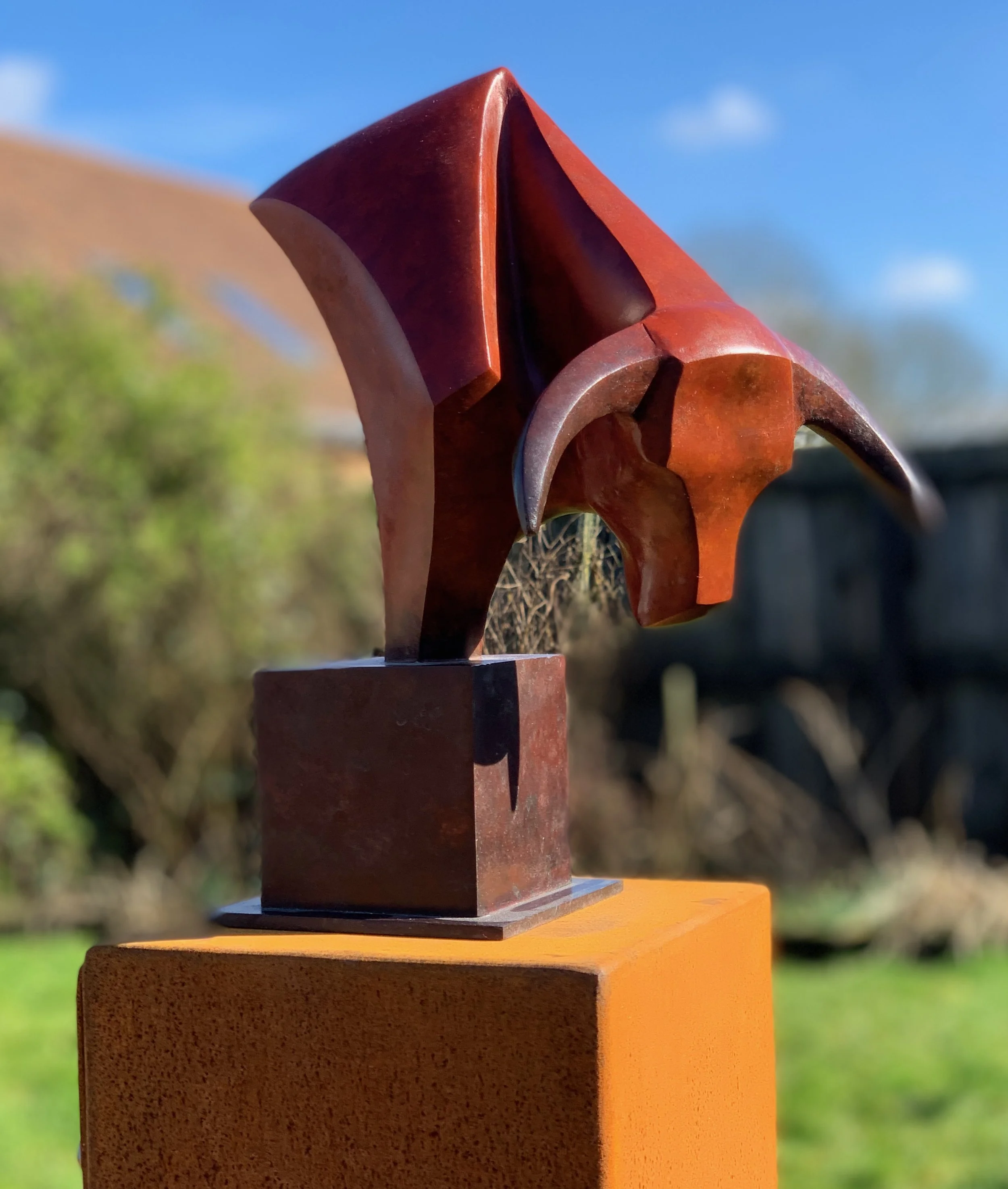 The Bull Head - Bronze - - 1.jpeg