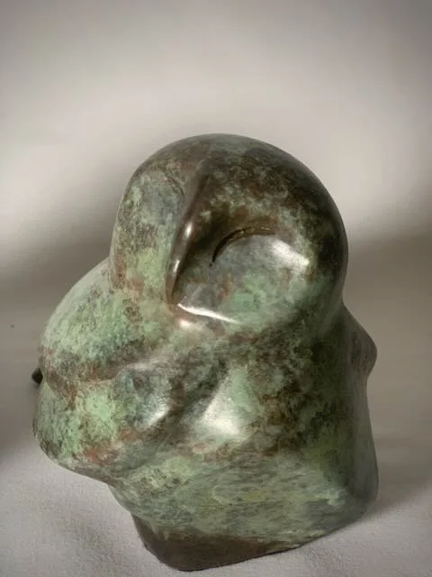 The Small Barn Owl- - 7.jpeg