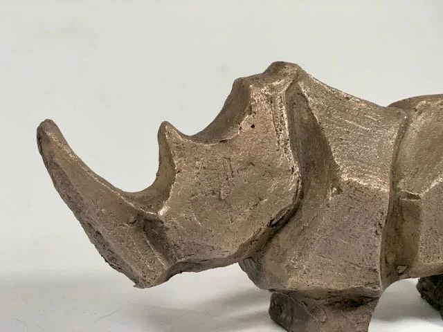 Rhino- Exploration studies - - 4.jpeg