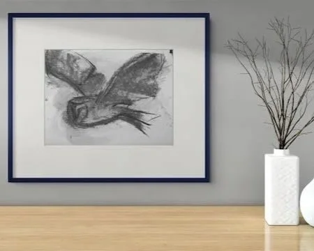 Barn+Owl+Study+3-+Charcoal+-+-+1.jpg