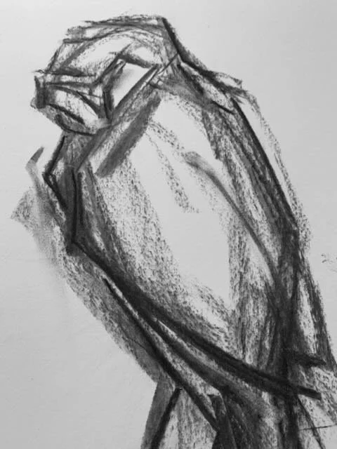 Barn Owl Study I - Charcoal - - 2.jpeg