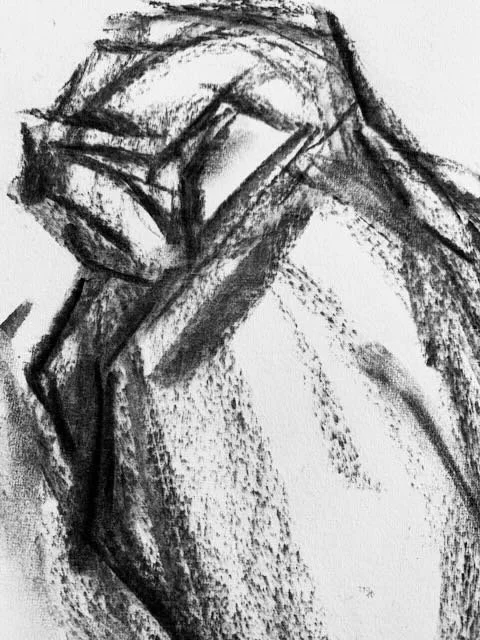 Barn Owl Study I - Charcoal - - 3.jpeg