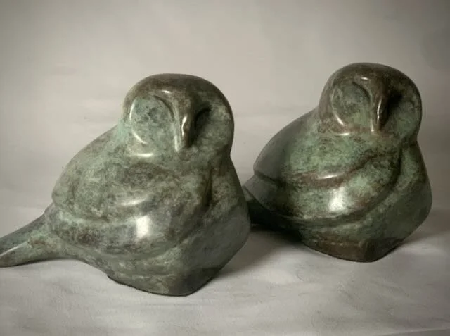 The Small Barn Owl- - 9.jpeg