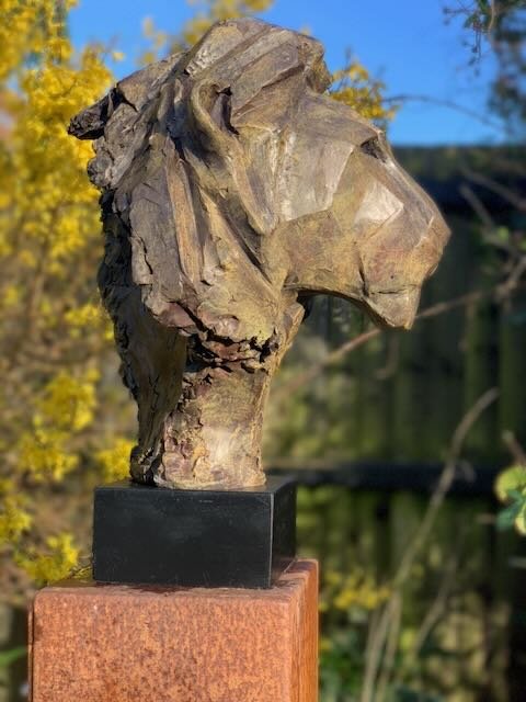 The guardian - 5.jpeg