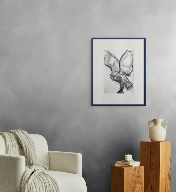 Barn Owl Study 2 - Charcoal - - 1.jpeg