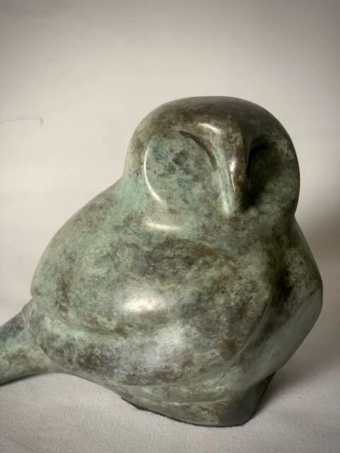 The Small Barn Owl- - 8.jpeg