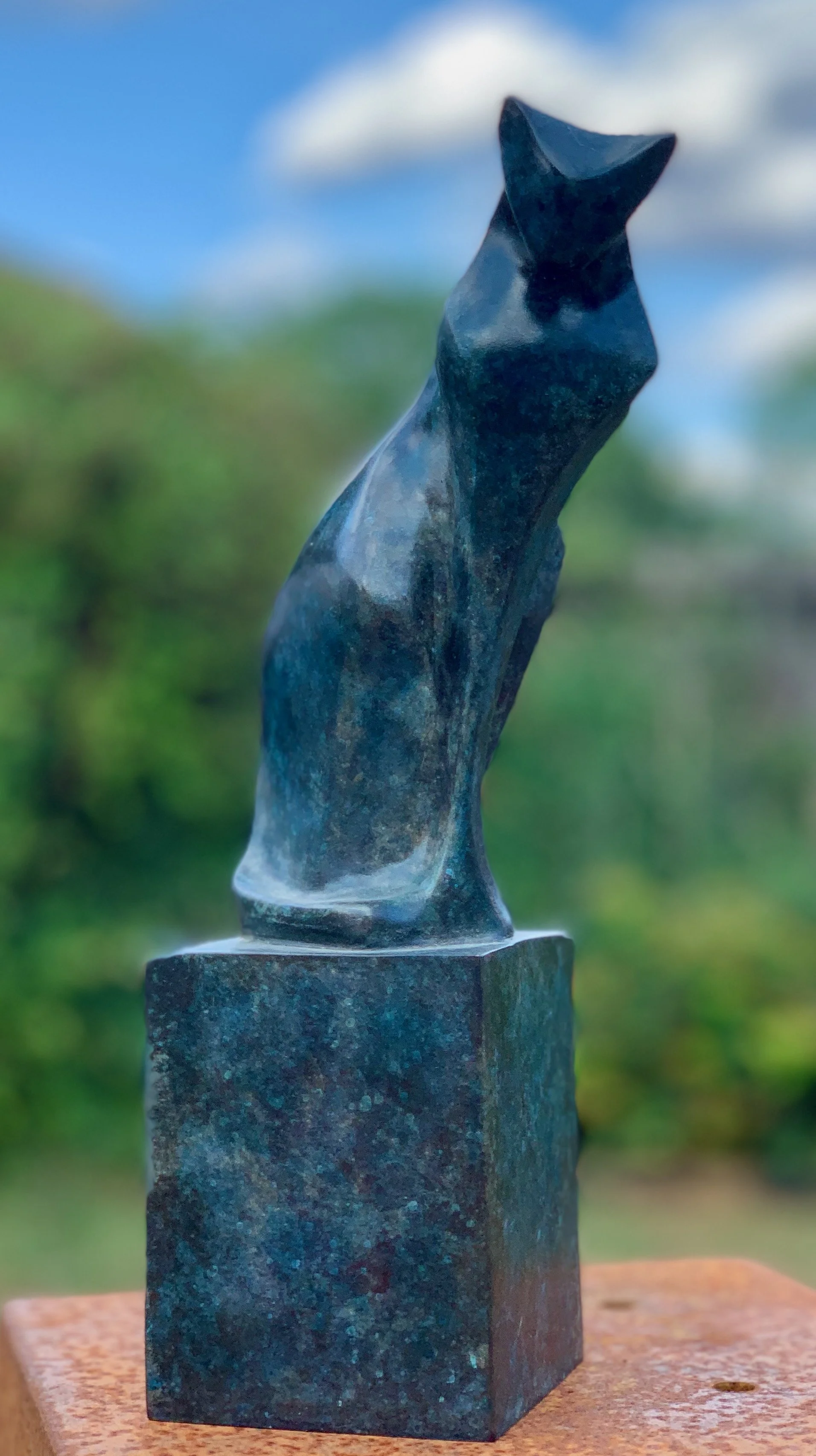 The Small cat on Base -2 - 1.jpeg