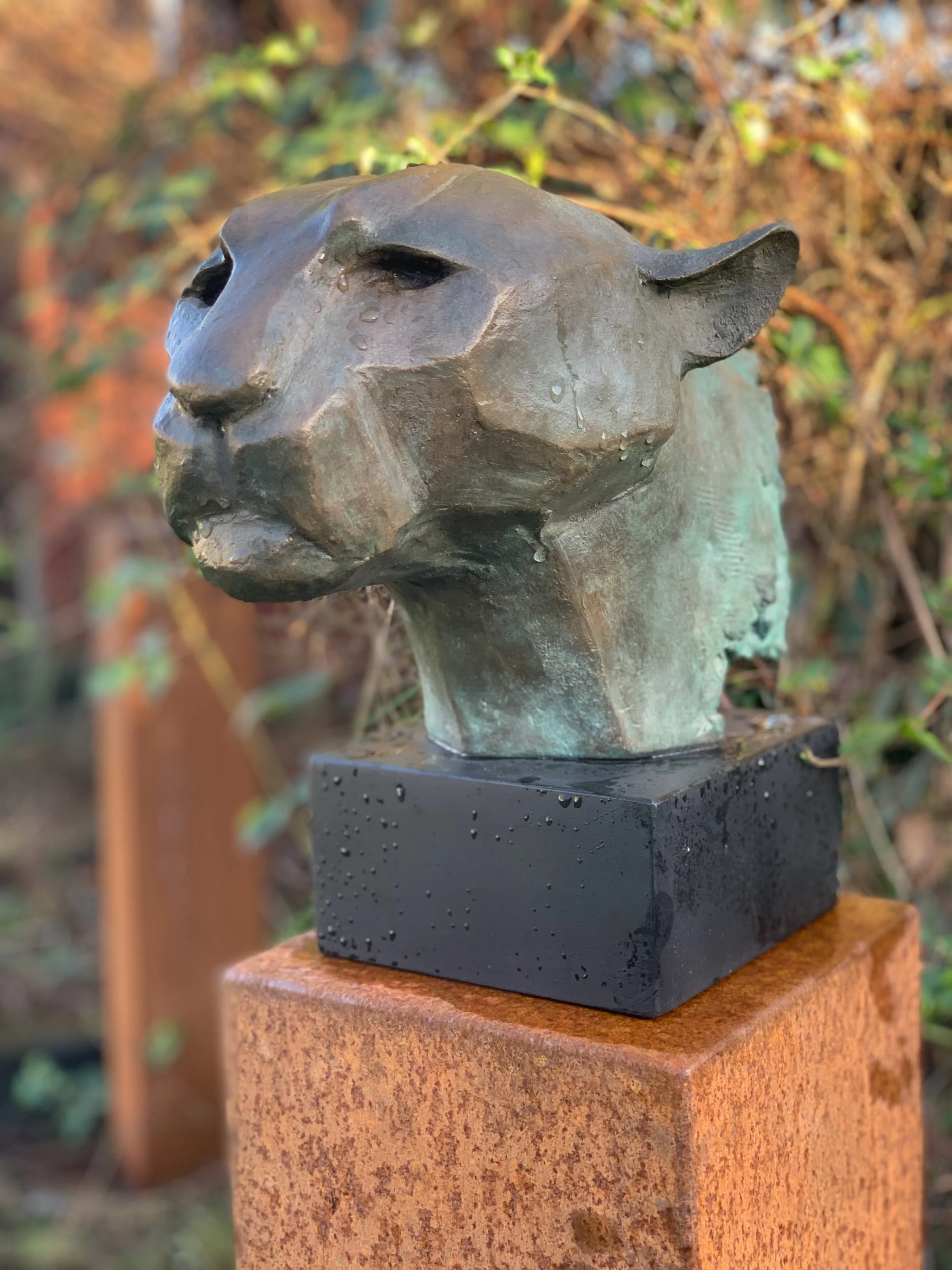 The Eternal Sentinel