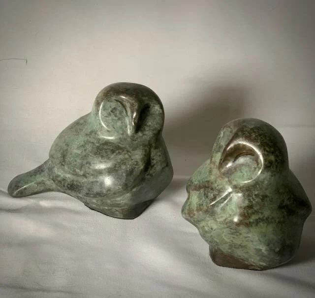 The Small Barn Owl- - 3.jpeg