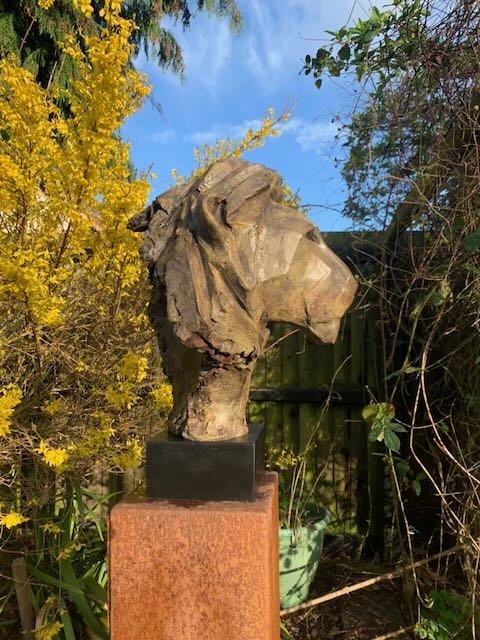 The guardian - 4.jpeg