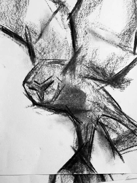 Barn Owl Study 2 - Charcoal - - 2.jpeg