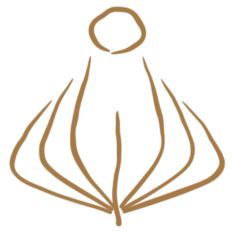 Line drawing of a flower with a circular center and curved petals.