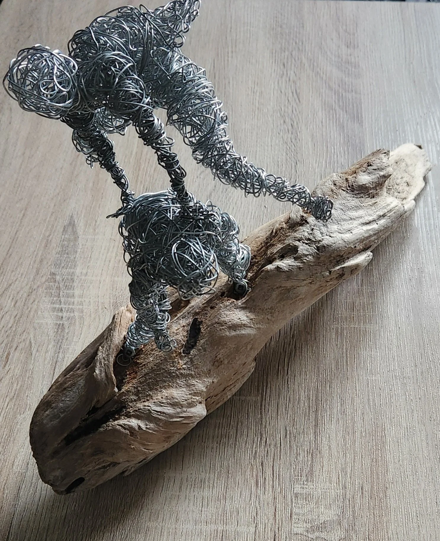 20260121_095325 - ryan vincent mateo.jpg