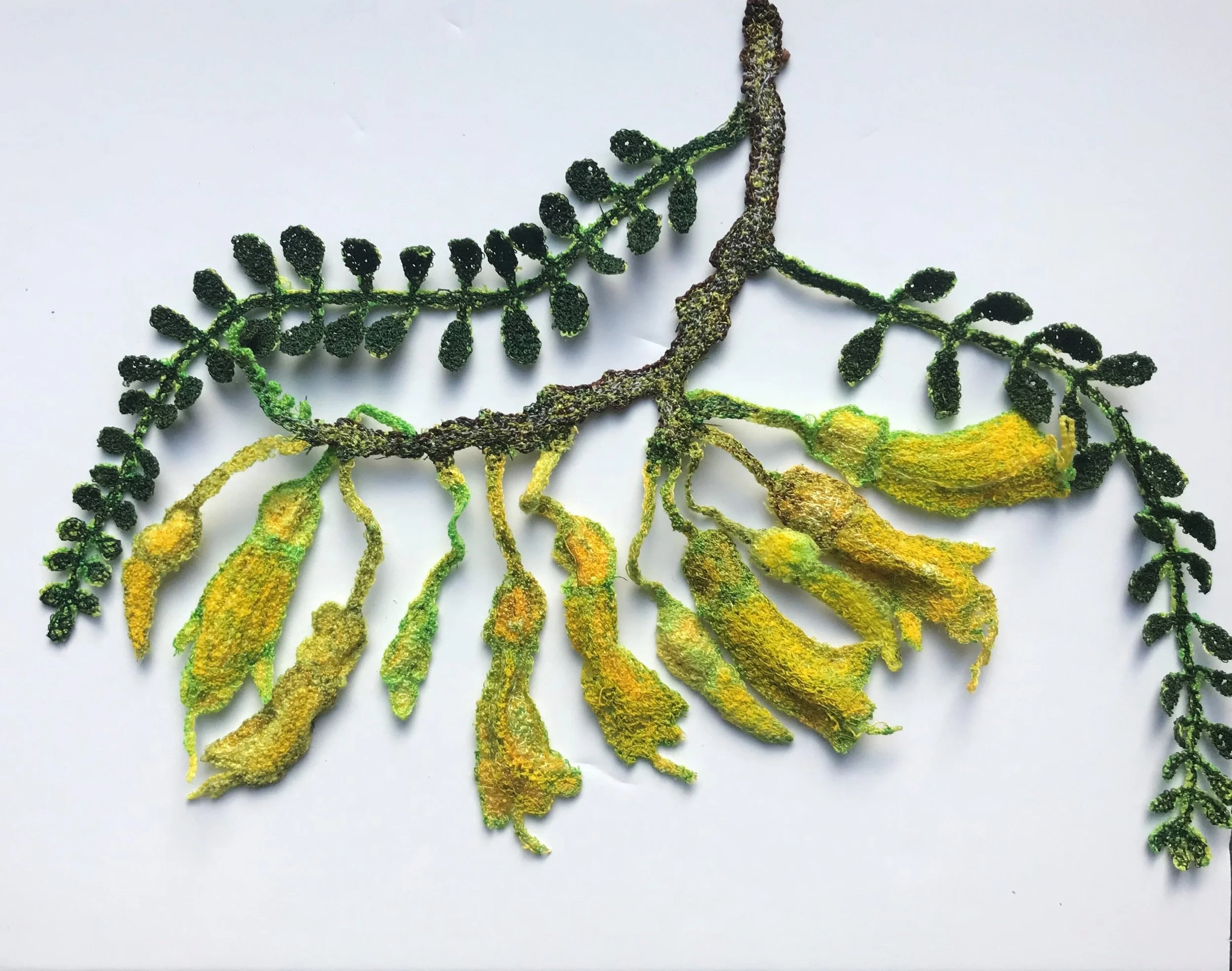 LesleyPearceWicklamBushStudio6 - Lesley Pearce.JPG