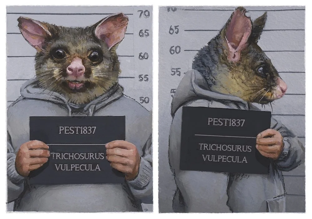 possum mugshot - Barry Smith copy.jpg