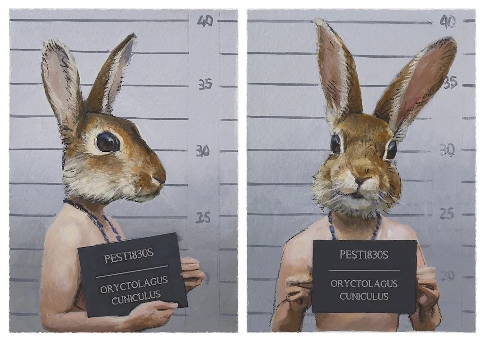 rabbit mugshot - Barry Smith copy.jpg