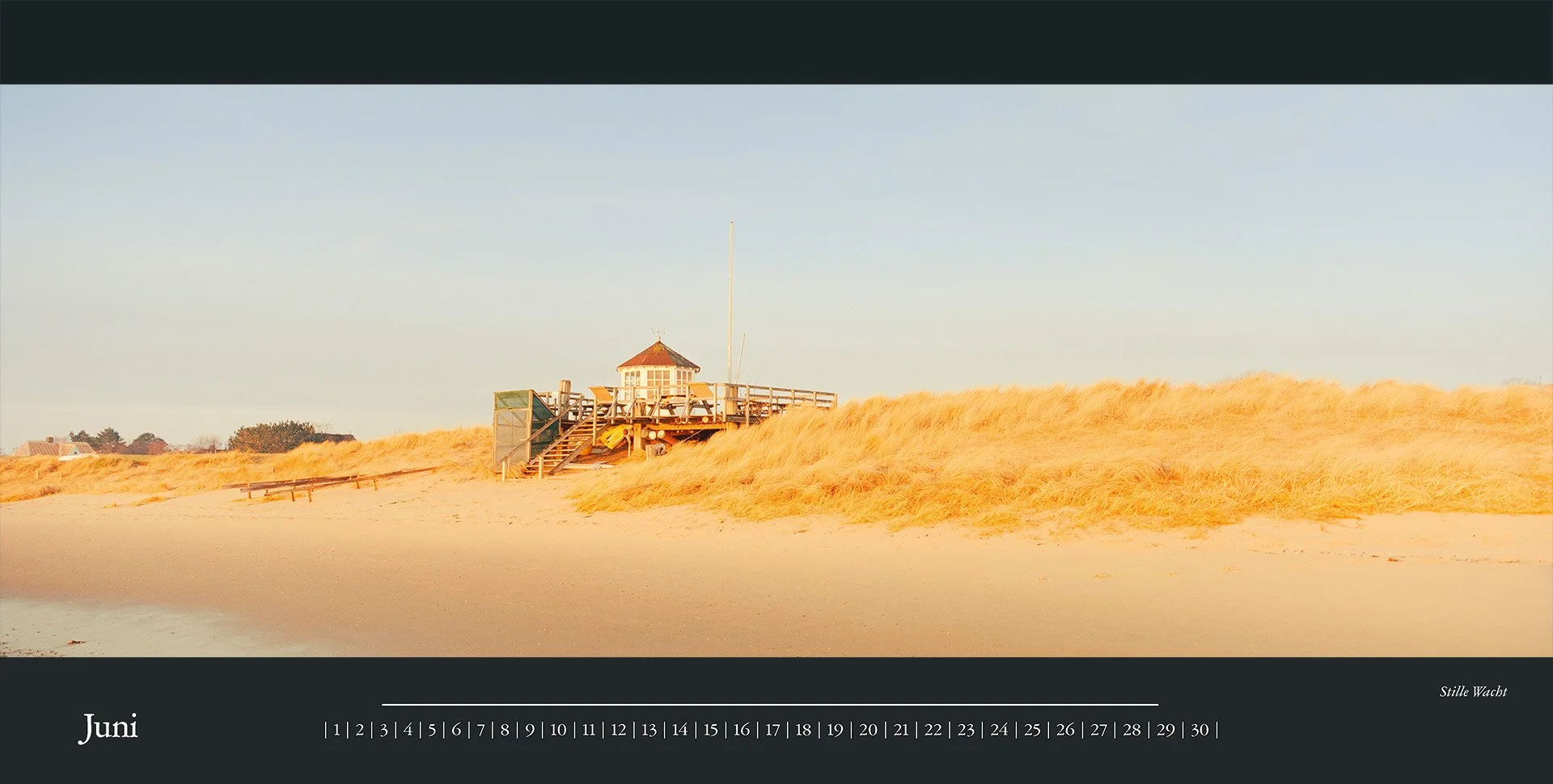 7_Seeigelphoto_2025_monatskalender_dina2quer_14blatt_12m_1d_1s_40_2-1.jpg
