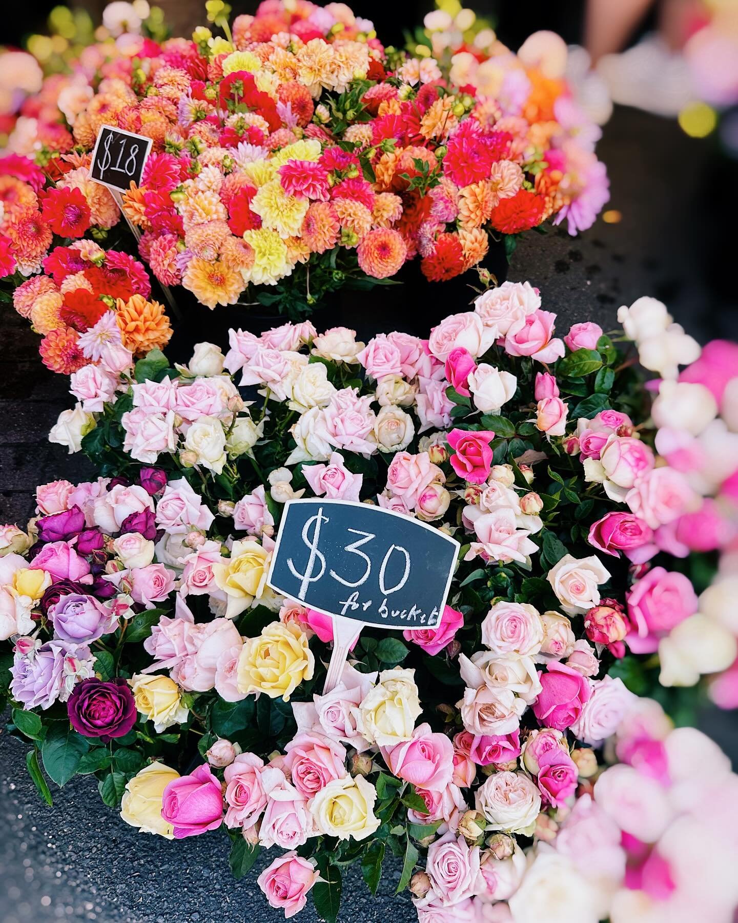 Happy Monday! 

We&rsquo;re loving our fresh flowers from @mayfarmflowers to brighten up the week ahead

See you all on Sunday - big market day with our vintage pop-up on alongside our regular market #vintagelovers 

Sun 10am-4pm 

#bondi #bondibeach