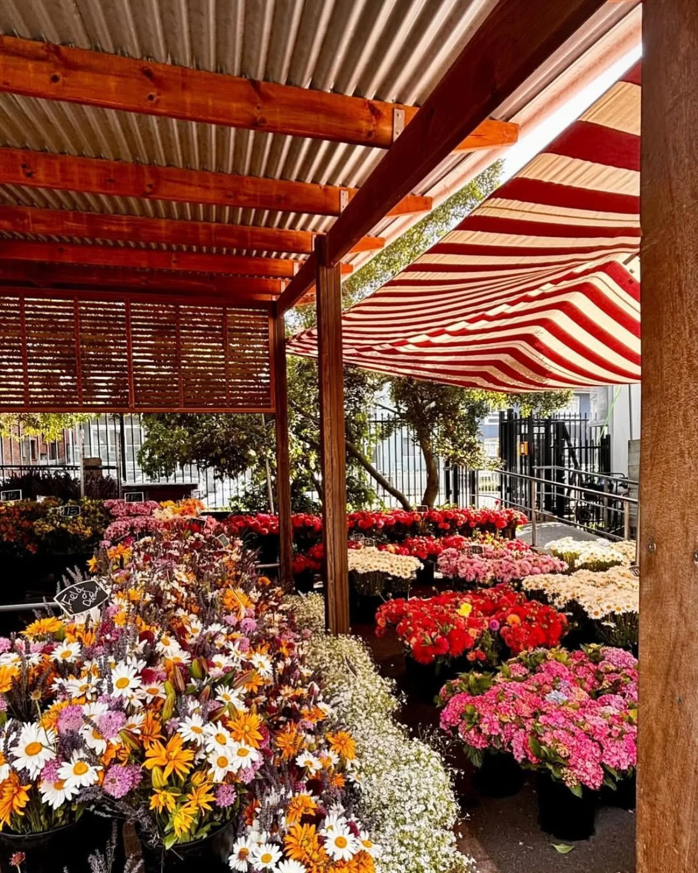 We are open today! 

Come on by &amp; pick up some beautiful fresh flowers by @mayfarmflowers + good eats + fresh produce + matchas + juices &amp; more

See you here, on til 1pm

#bondi #bondibeach #markets #flowers #homestyling #sydney