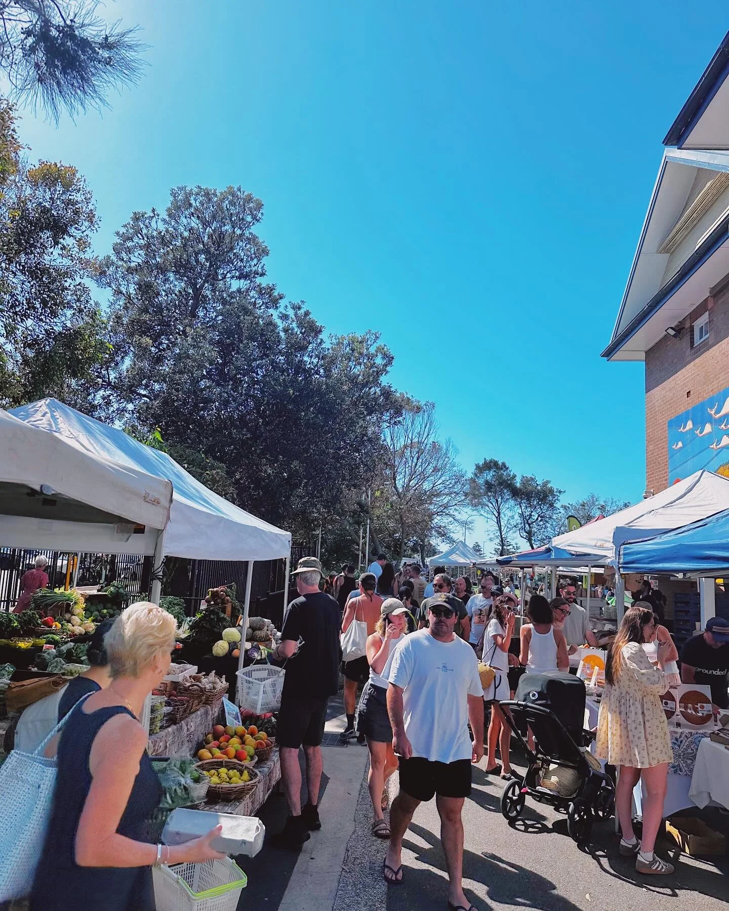 We are open today!

Shop outside, beachside under sunny skies for the freshest fruit &amp; vegies &amp; your favourite produce from bread to honey to cheese to hummus, dips &amp; more

On til 1pm today 

#food #farmersmarket #goodfood #bondibeach #bo