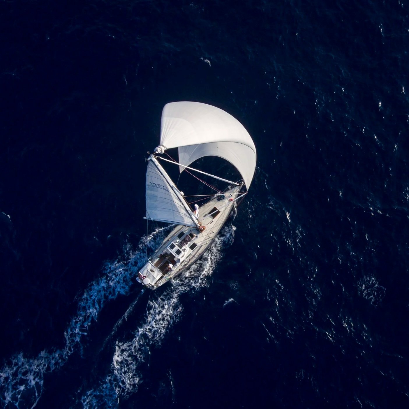 NOR 15046 - ISBJØRN