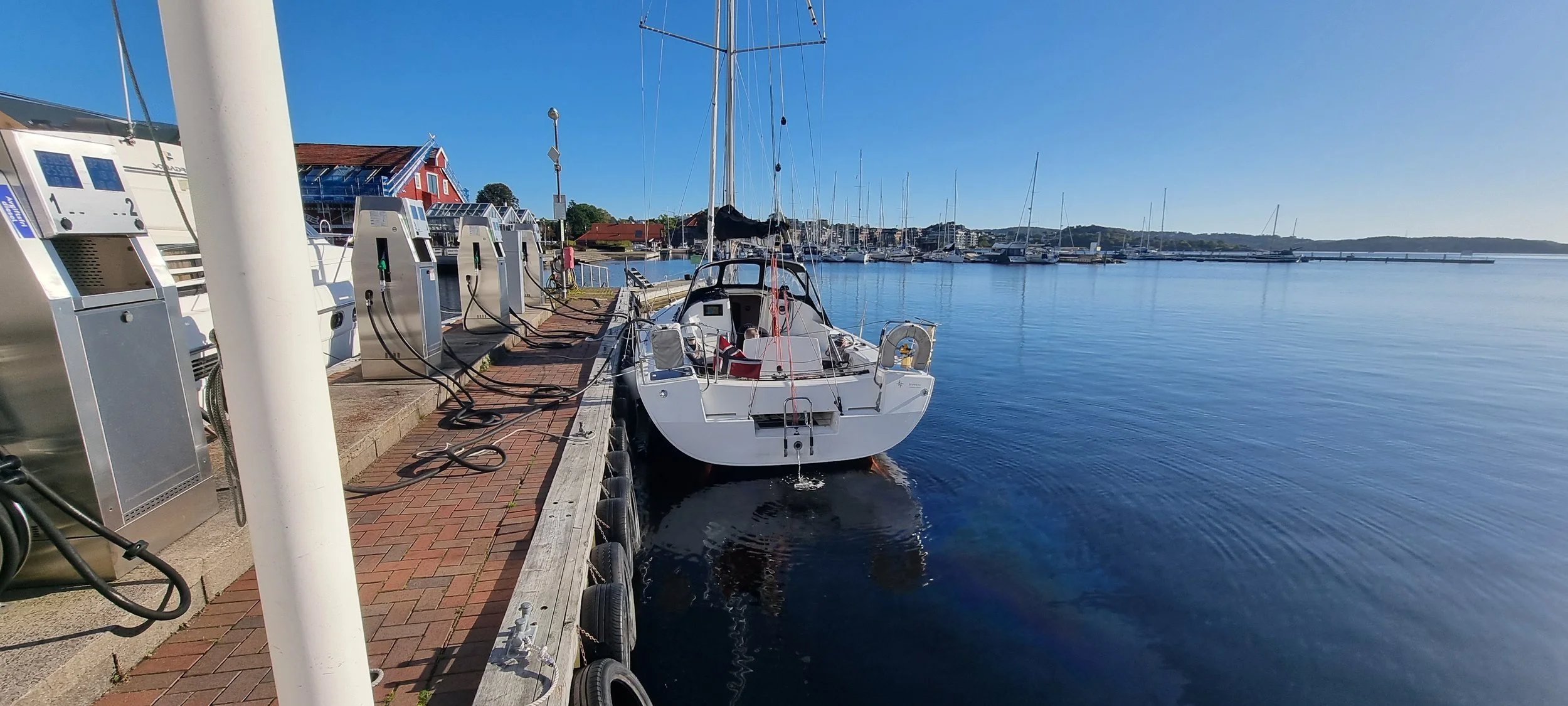 NOR 13533 - Cruella de Vil