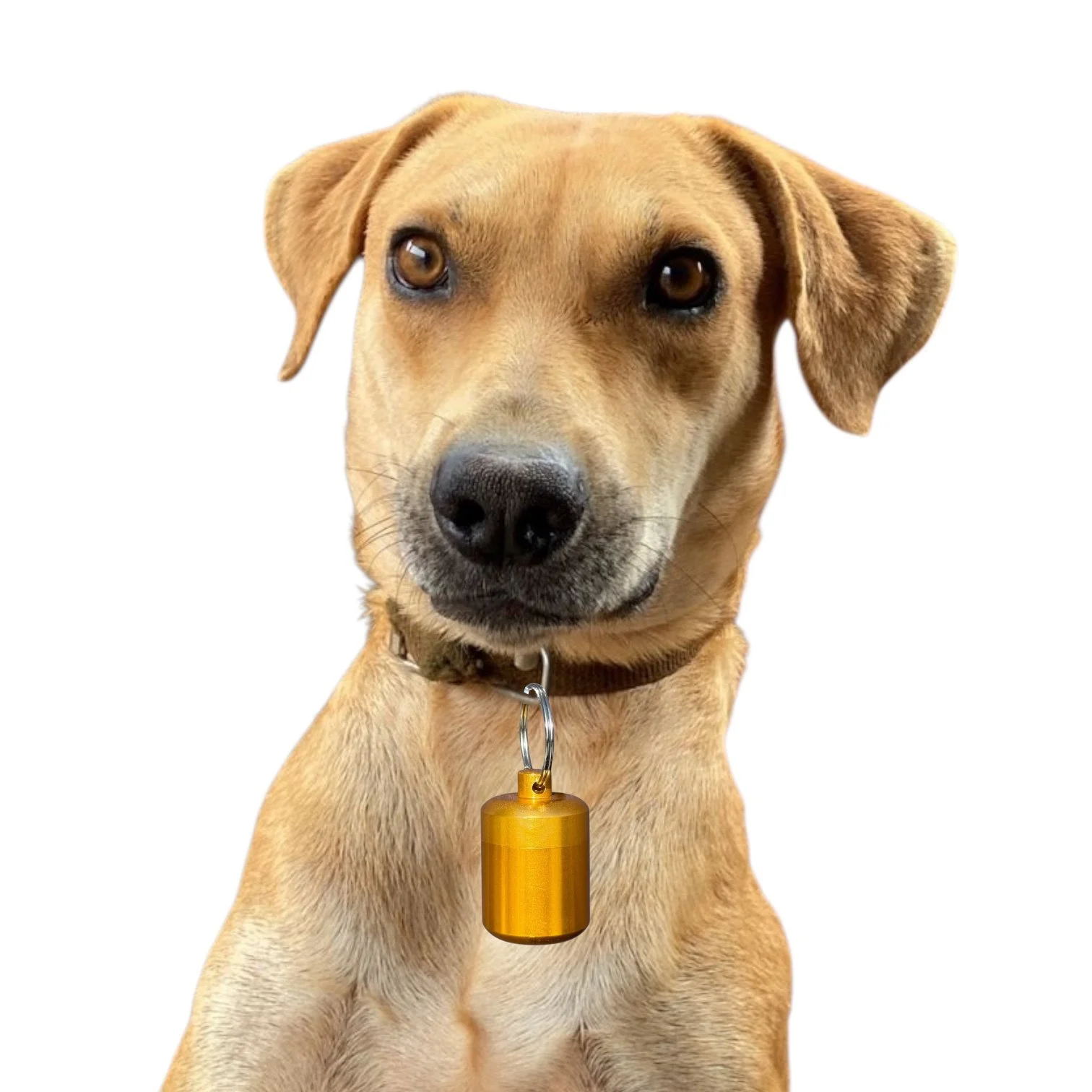 Dog Pendant1.jpg