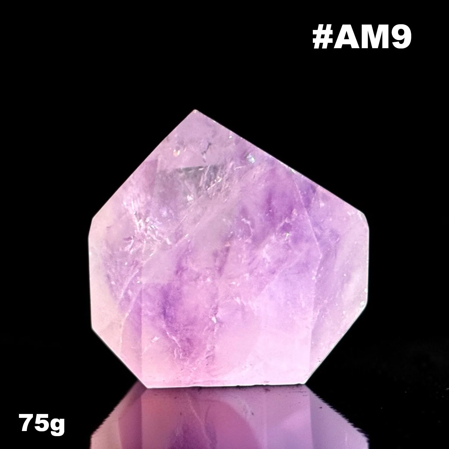 AM9.jpg