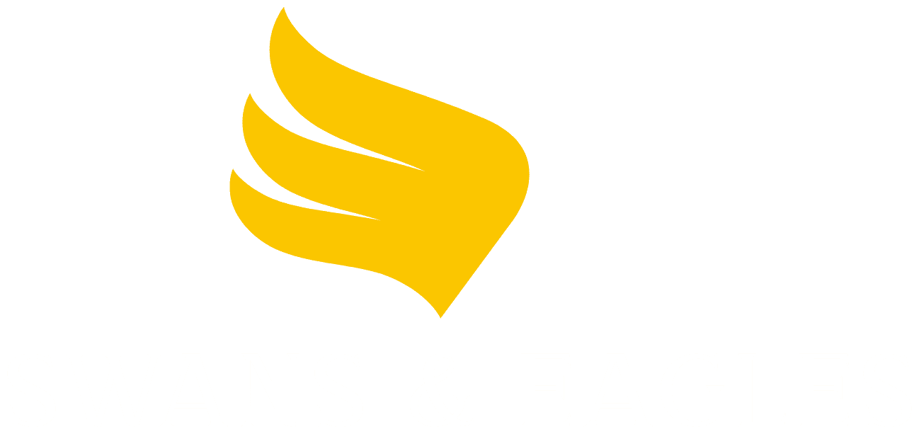 Swans &amp; Eagles
