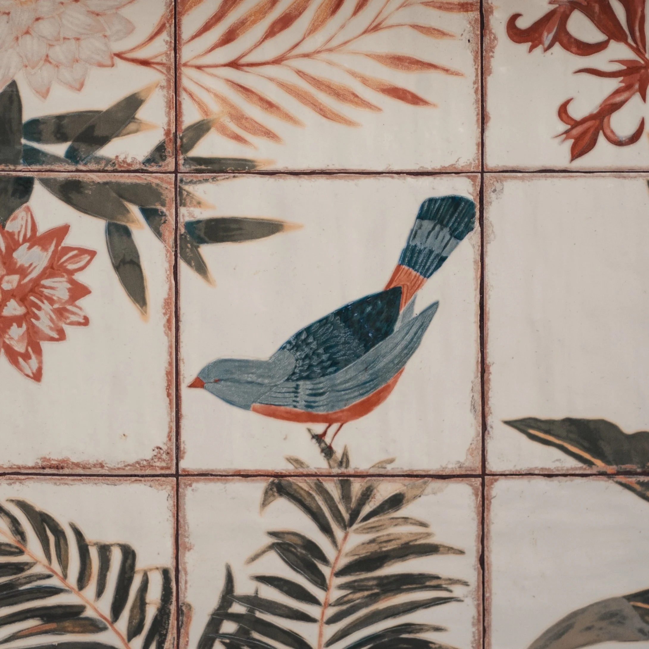 JPGS-PAJARO-CAP-NEGRET.jpg