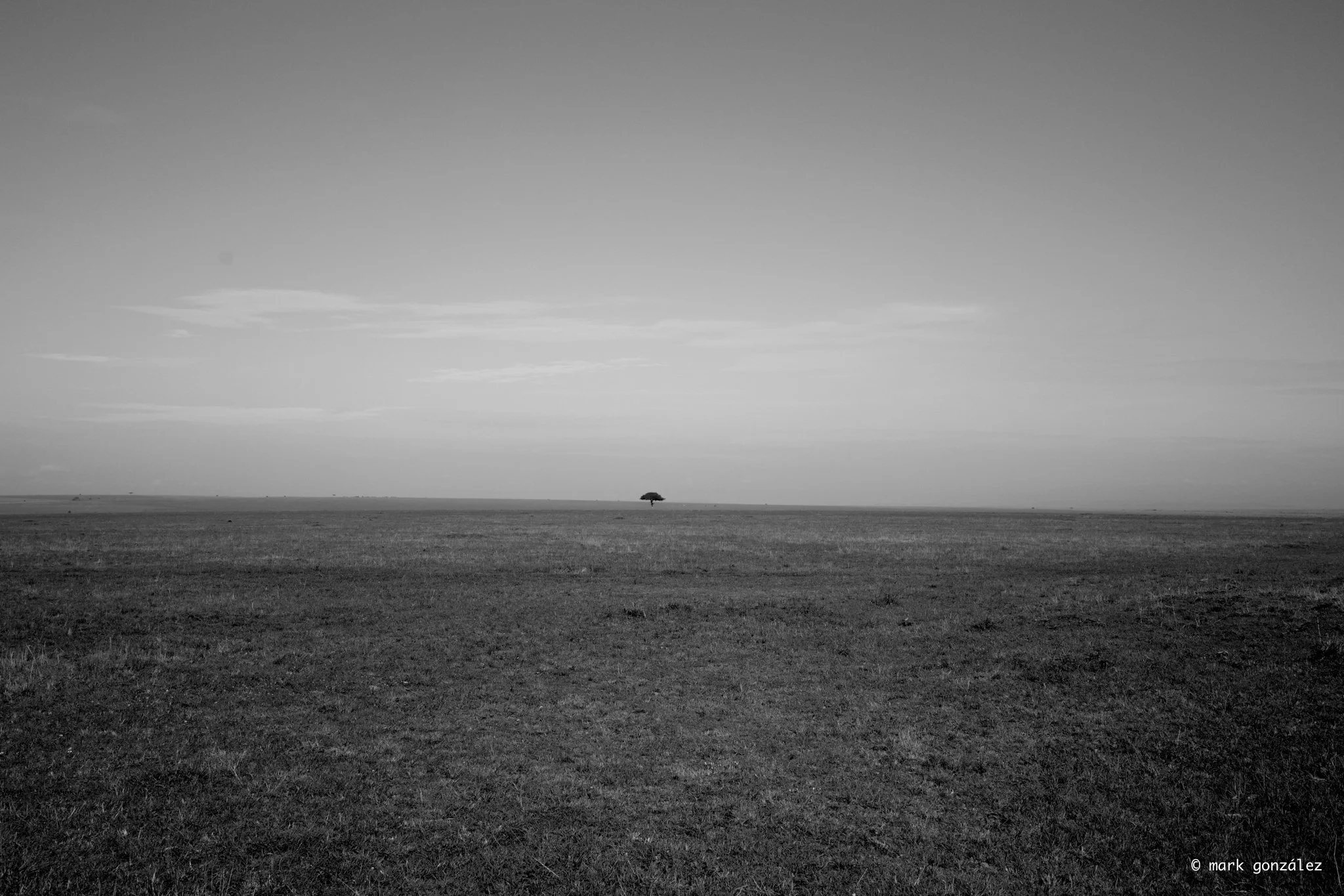 R0002177.jpg
