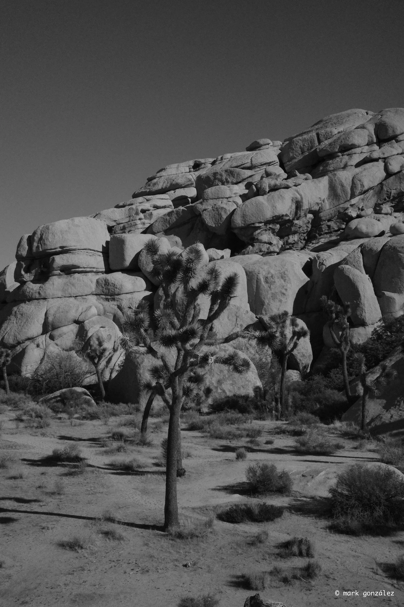 R0003878.jpg