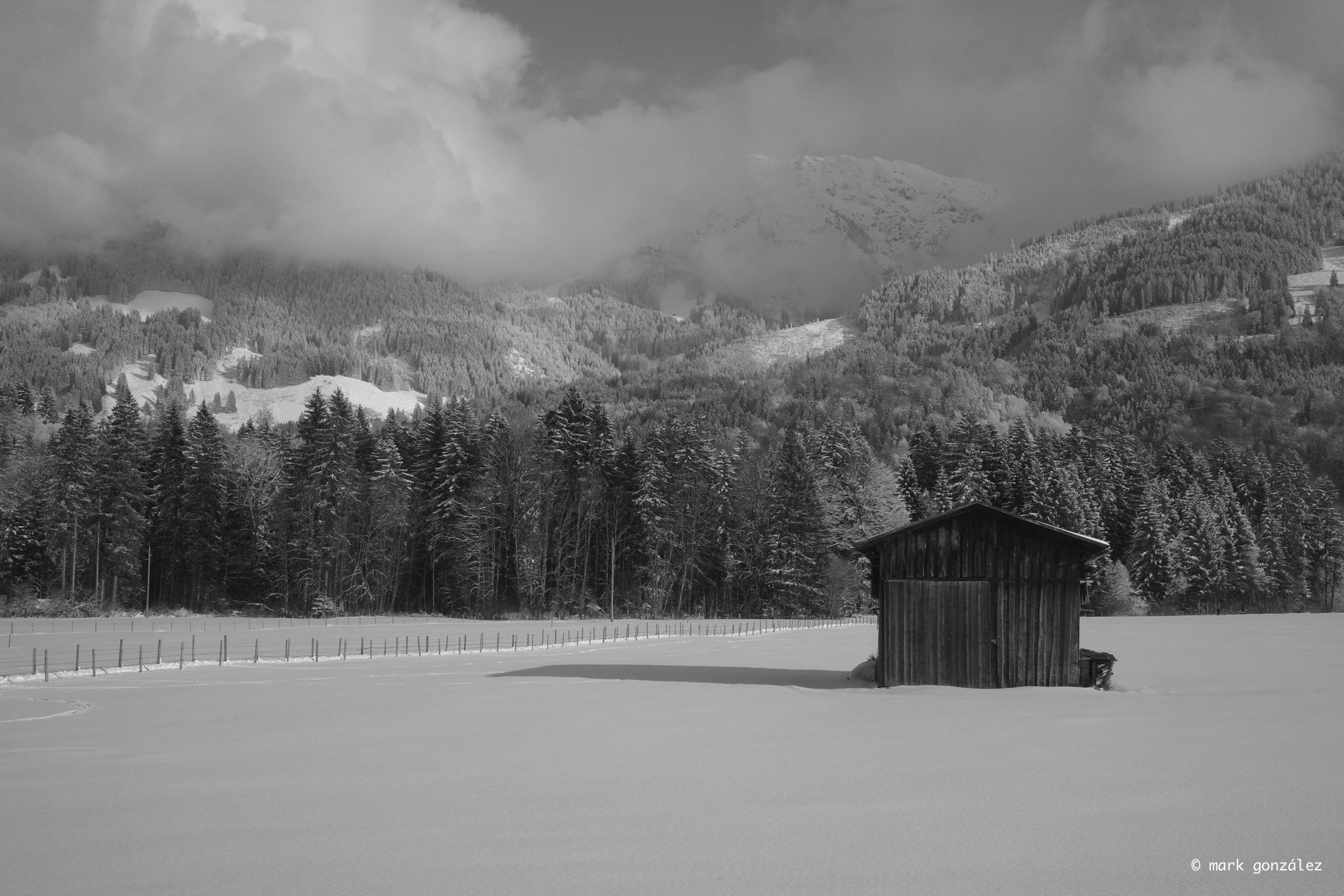 R0004487.jpg