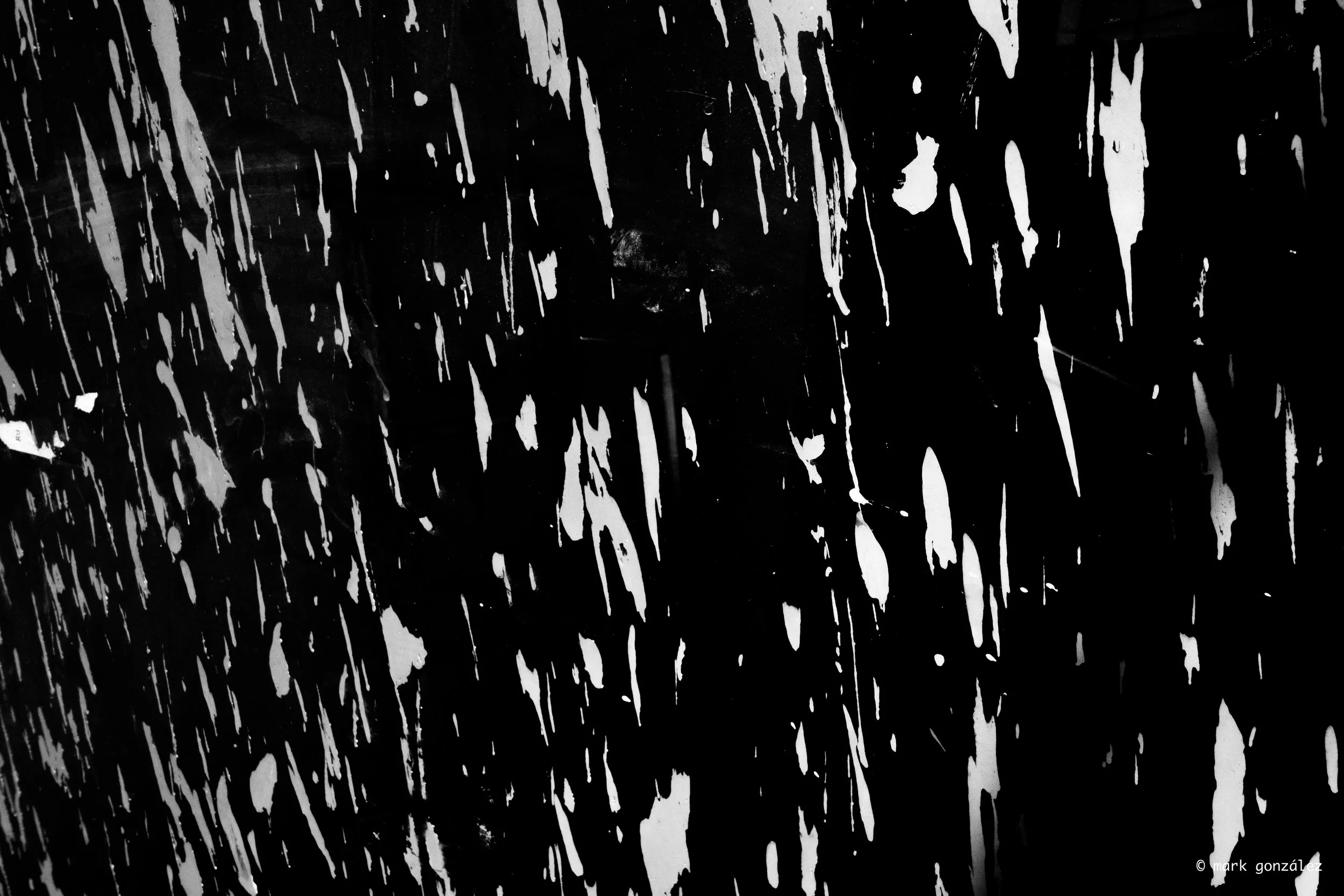 DSCF0884.jpg