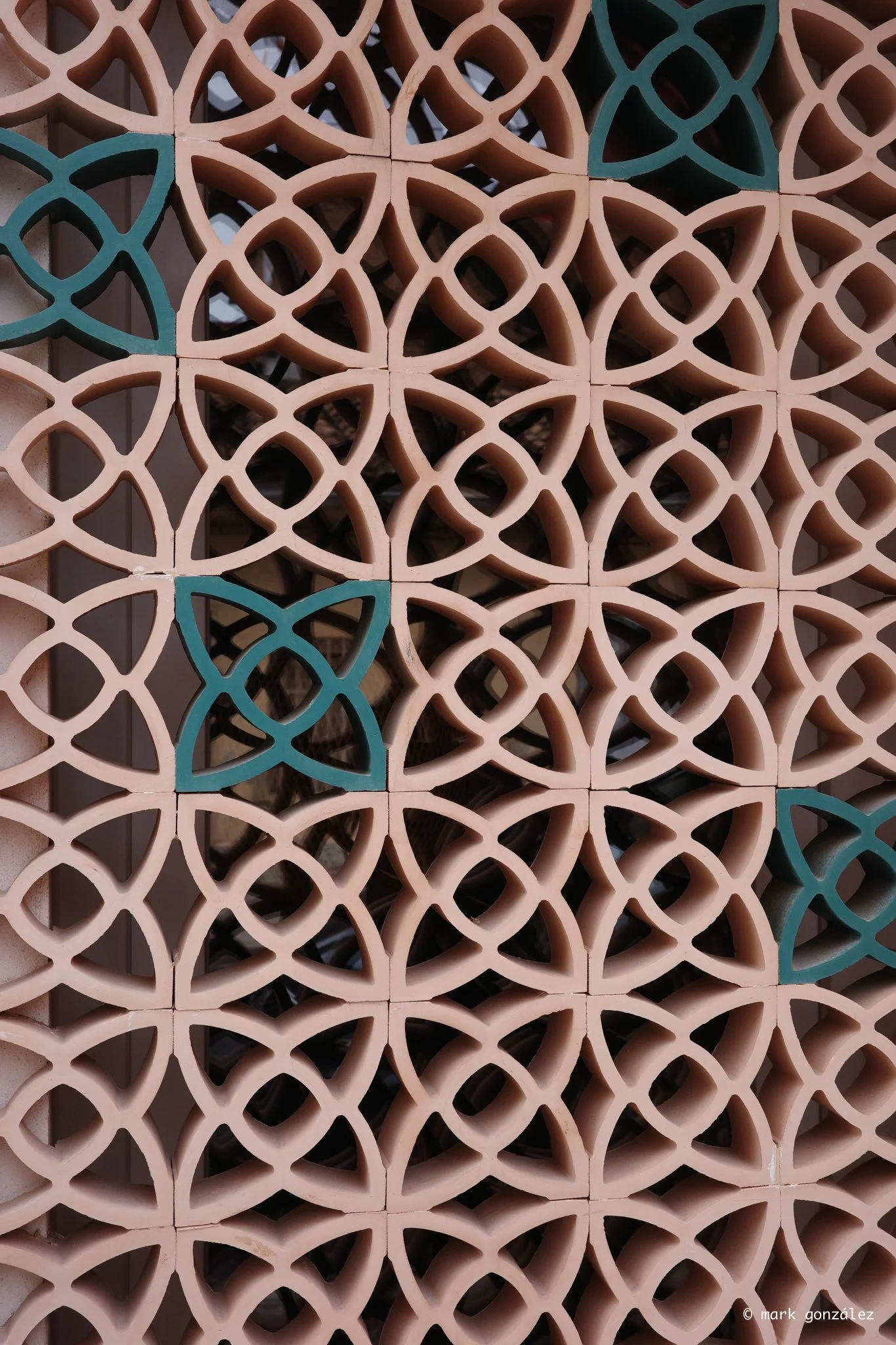 R0003360.jpg