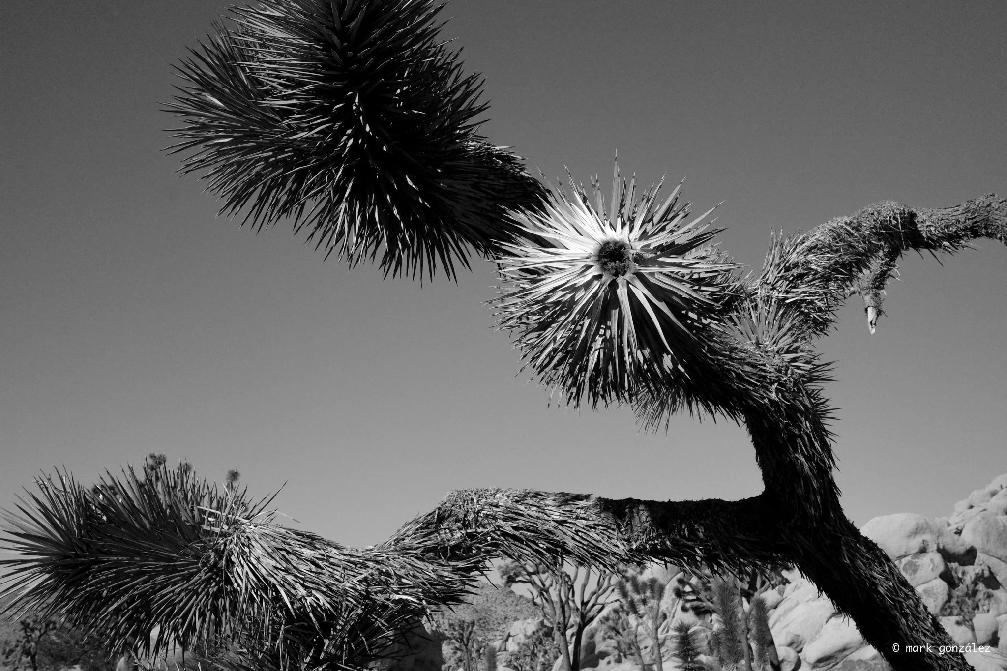 R0003883.jpg