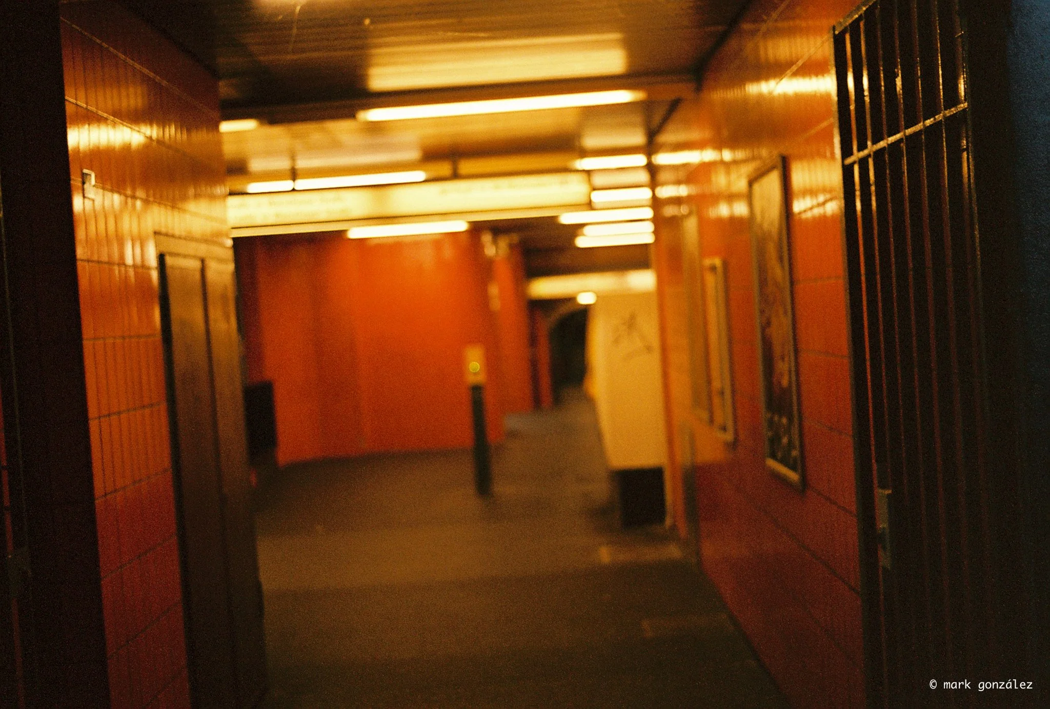 R1-08317-019A.jpg