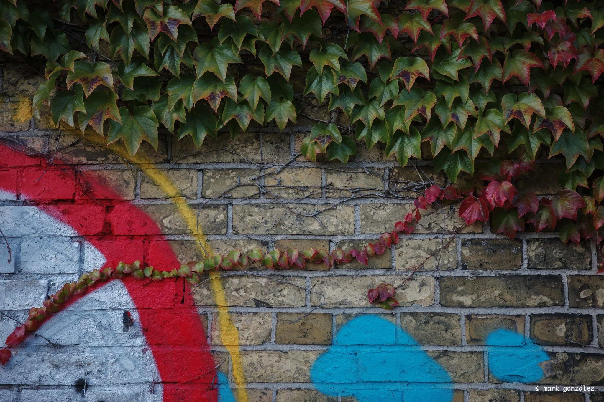 R0001483.jpg