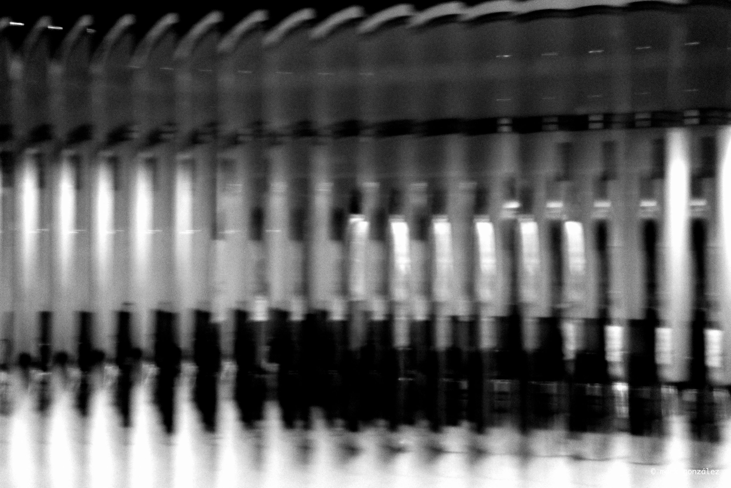 R0006903.jpg