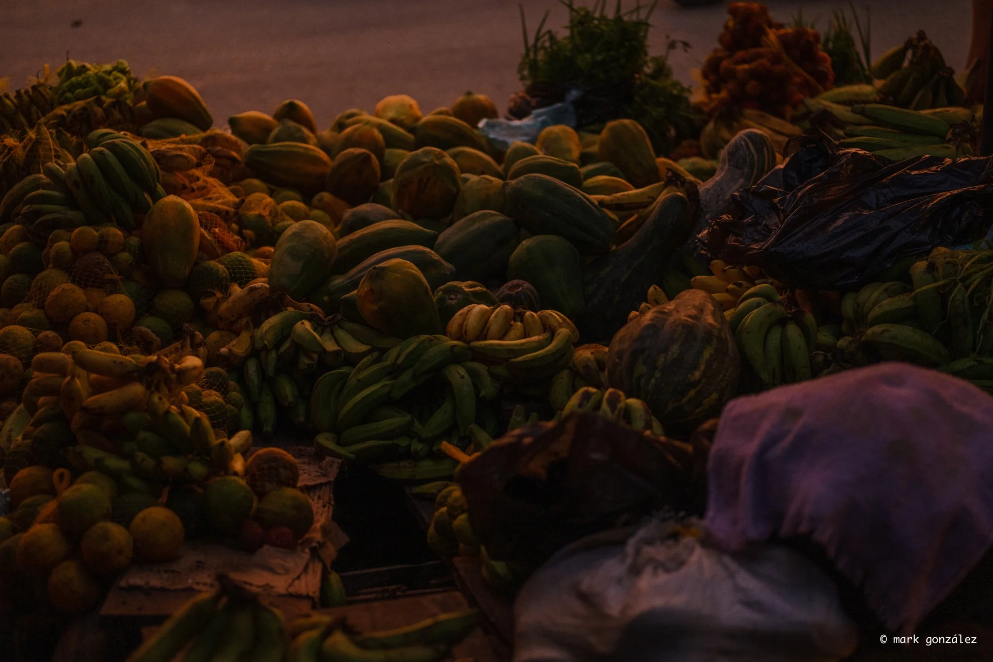 DSCF2572.jpg