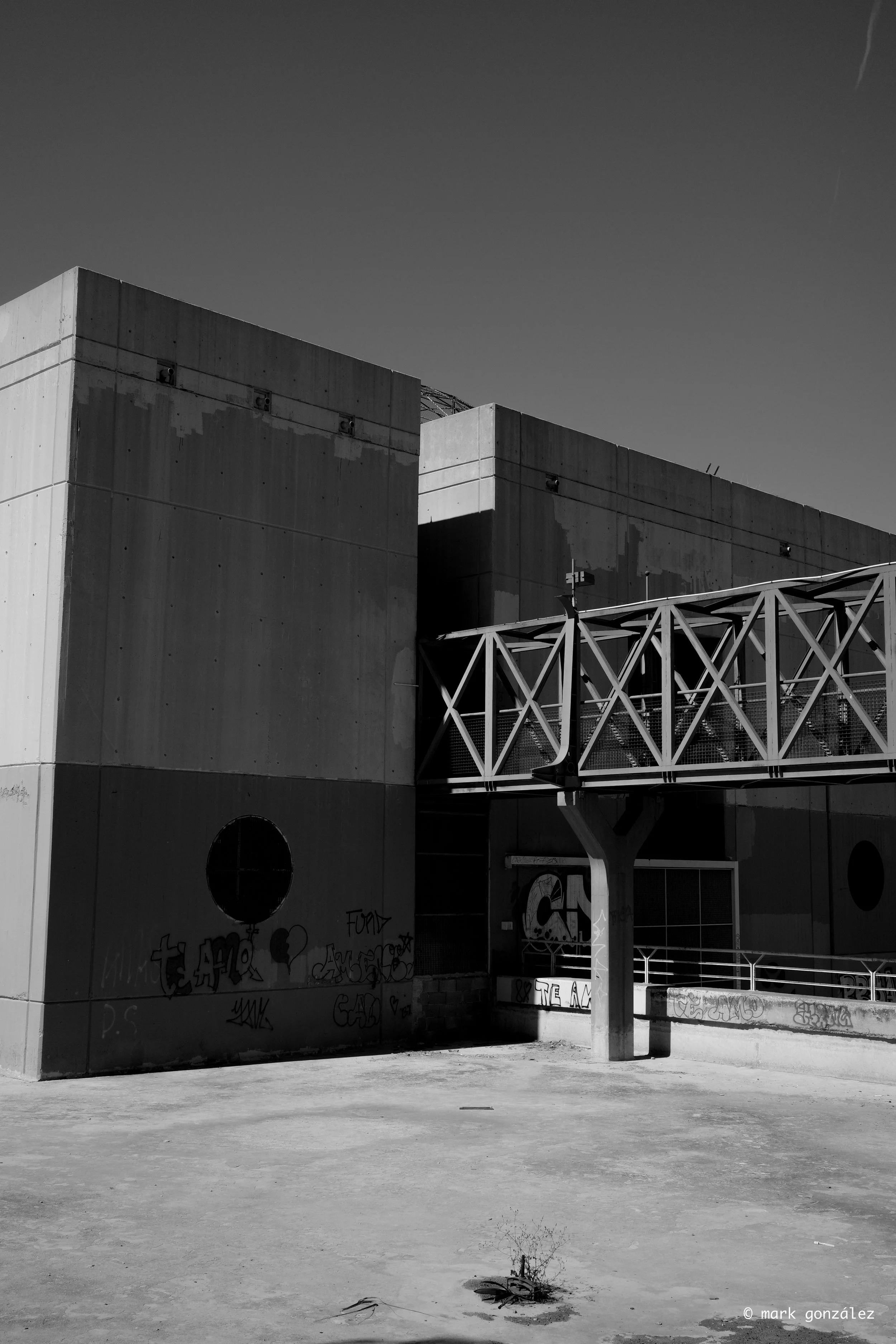 R0003386.jpg